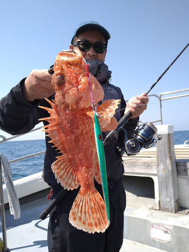 オニカサゴの釣果