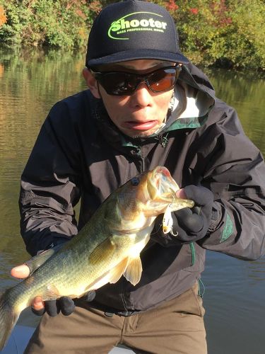 ブラックバスの釣果