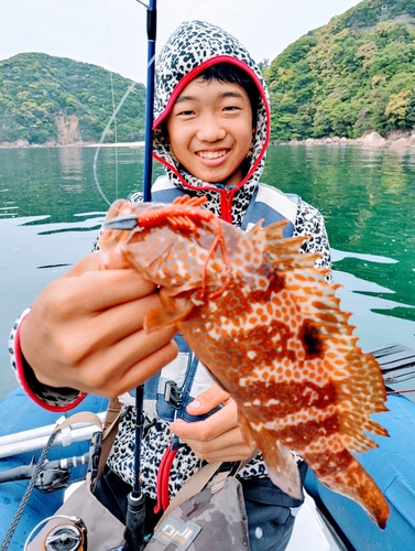 キジハタの釣果