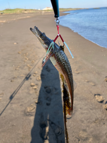 釣果