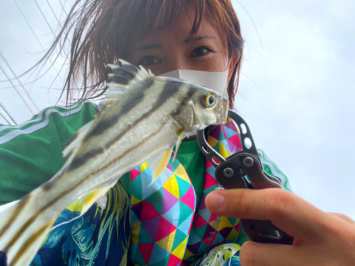 コトヒキの釣果