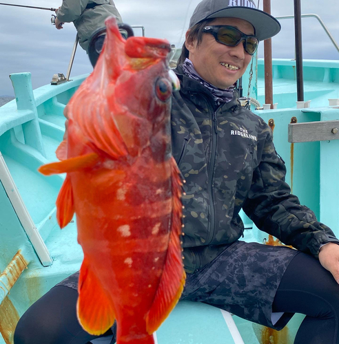 アカハタの釣果