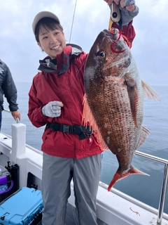 マダイの釣果