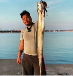 タチウオの釣果