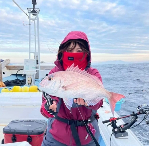 マダイの釣果