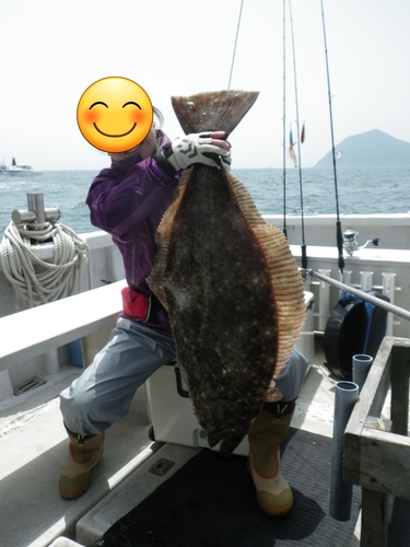 ヒラメの釣果