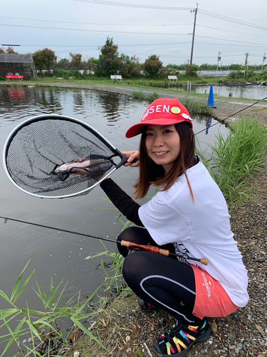 ニジマスの釣果