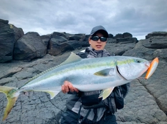 ブリの釣果