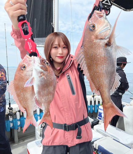 マダイの釣果