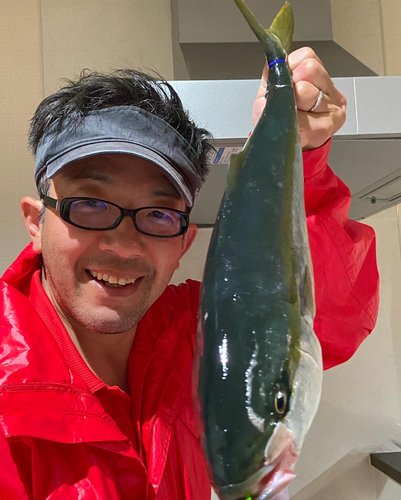 ハマチの釣果