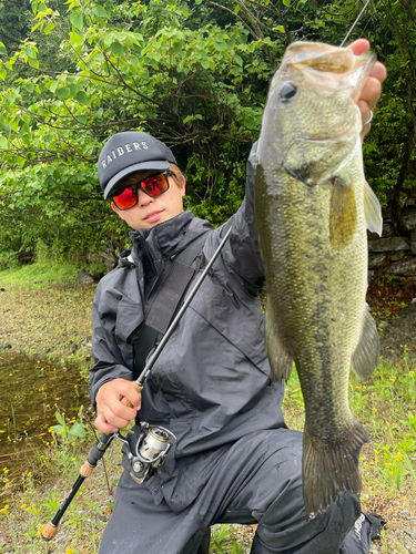 ブラックバスの釣果