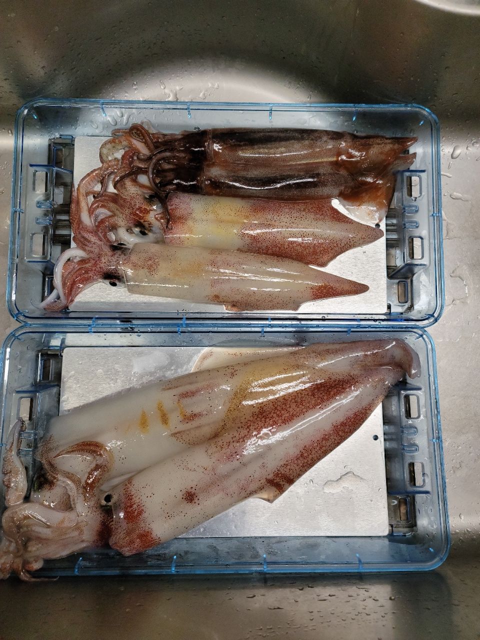 隆Takaさんの釣果 3枚目の画像