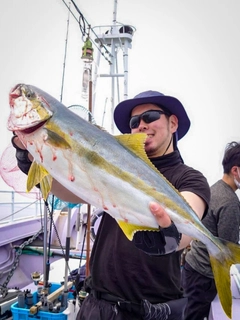 ヒラマサの釣果