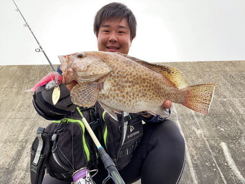 オオモンハタの釣果