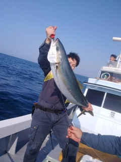 ヒラマサの釣果