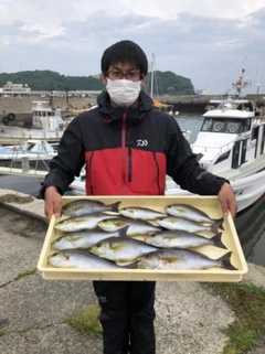 イサキの釣果