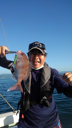 マダイの釣果