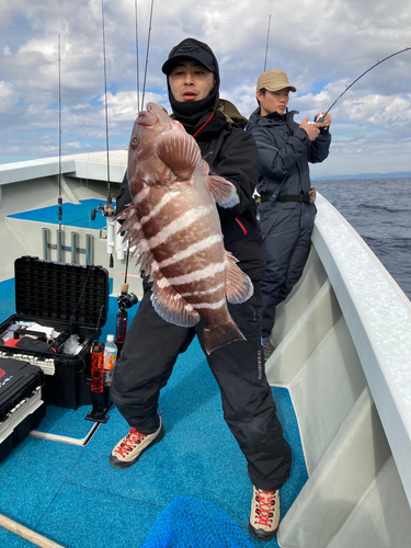 マハタの釣果