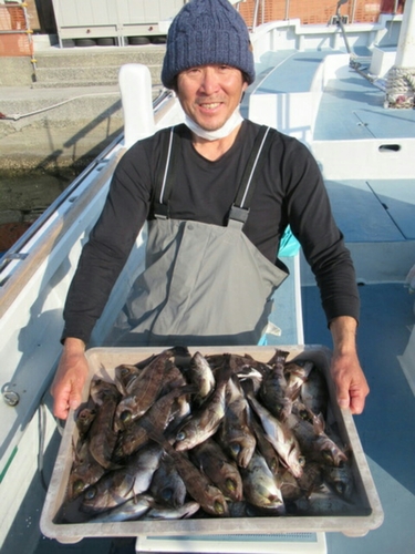 クロメバルの釣果