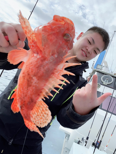 オニカサゴの釣果