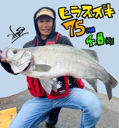 シーバスの釣果