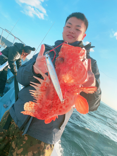 オニカサゴの釣果