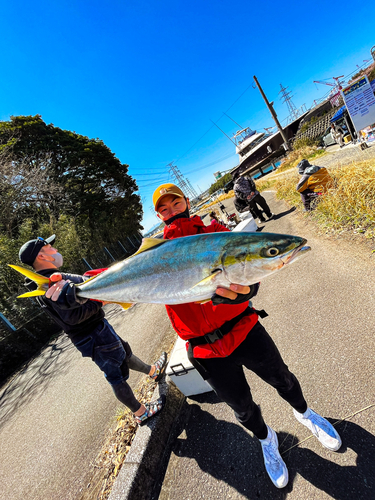 ブリの釣果