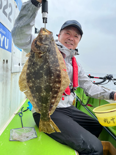 ヒラメの釣果