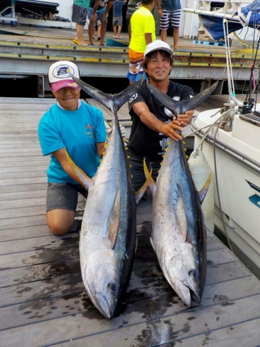 キハダマグロの釣果