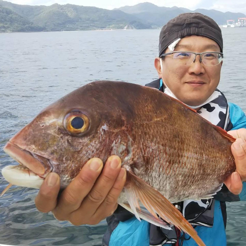 タイの釣果