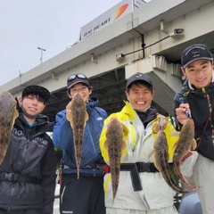 マゴチの釣果