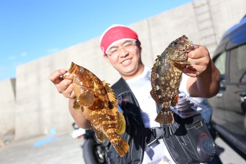 アコウの釣果