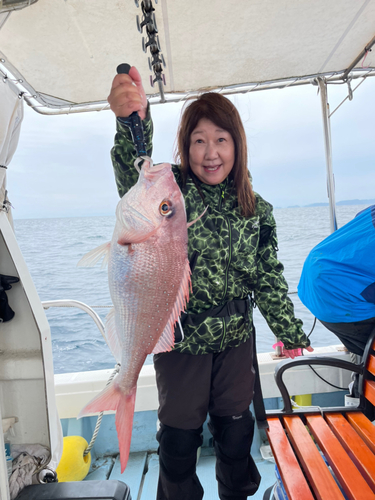 マダイの釣果