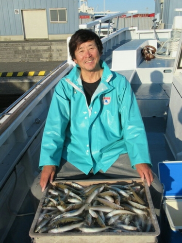 シロギスの釣果