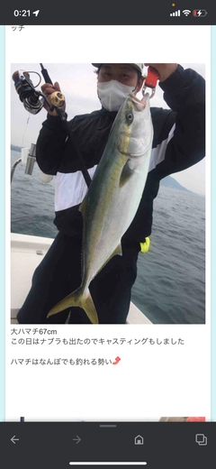 ヤズの釣果