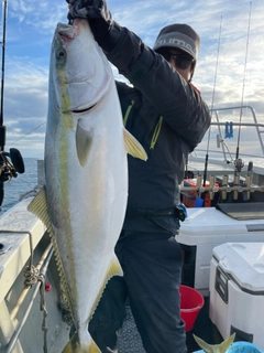 ブリの釣果