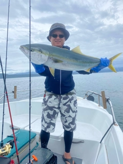 カンパチの釣果