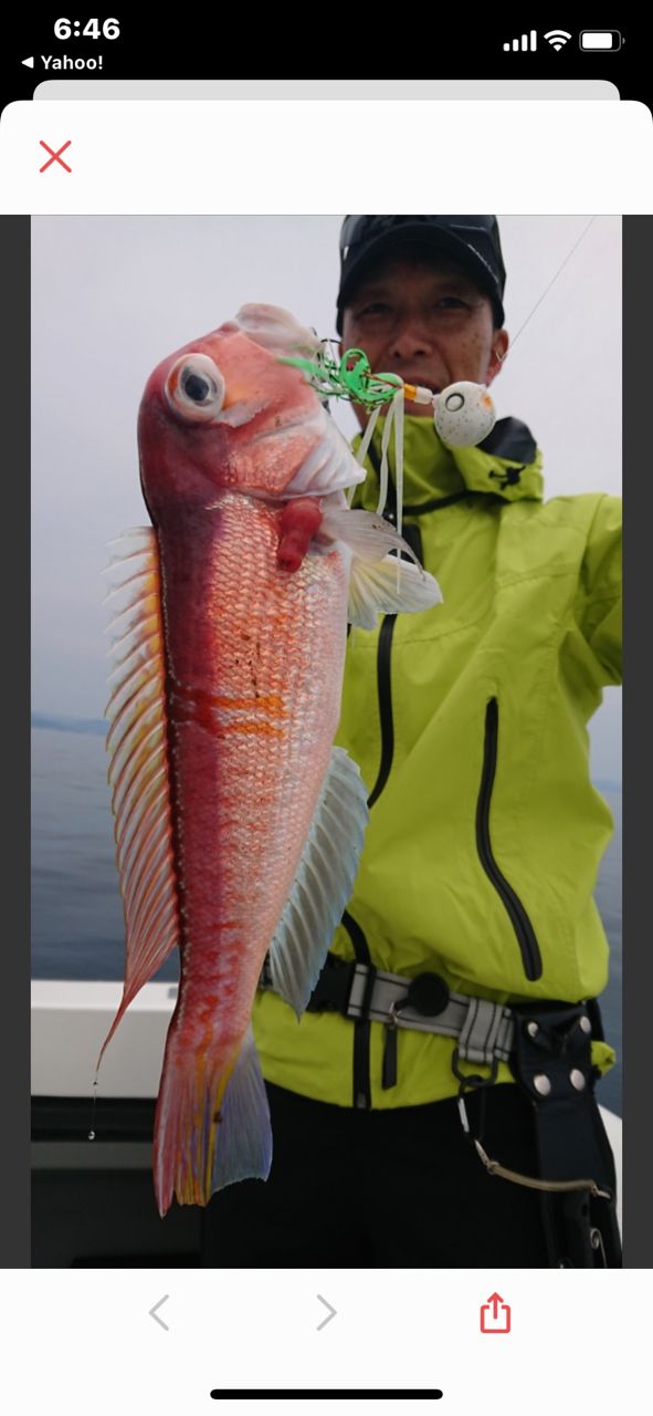 釣天狗さんの釣果 3枚目の画像