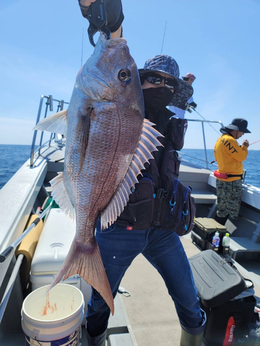 タイの釣果