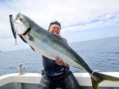 ブリの釣果