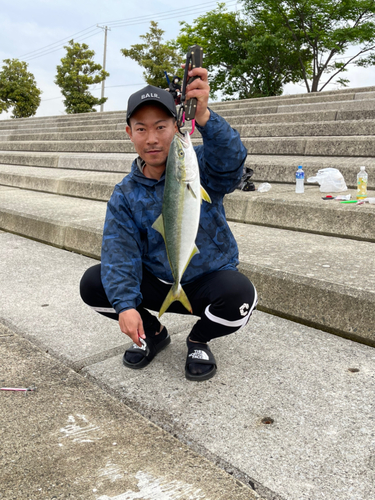 ツバスの釣果