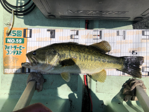 ブラックバスの釣果