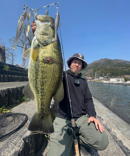 ブラックバスの釣果