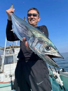 サワラの釣果