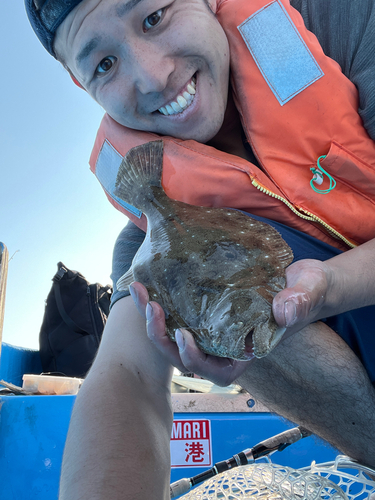 ヒラメの釣果