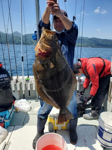 ヒラメの釣果