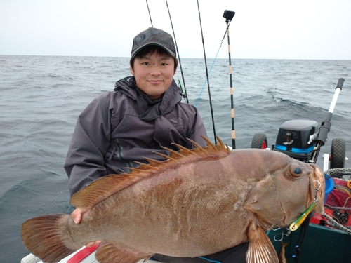 コモンハタの釣果