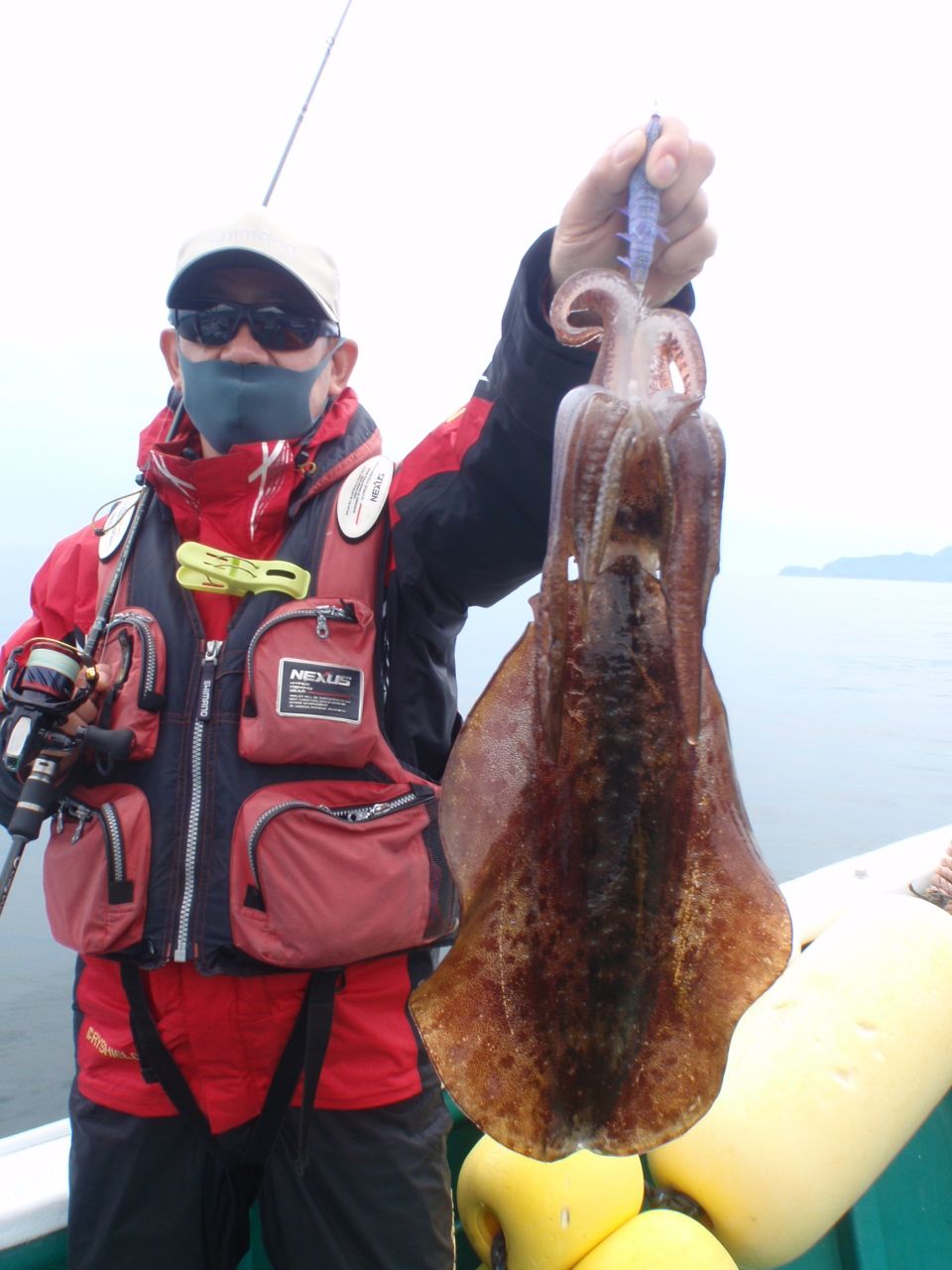 アオリイカハンター　HIROさんの釣果 2枚目の画像