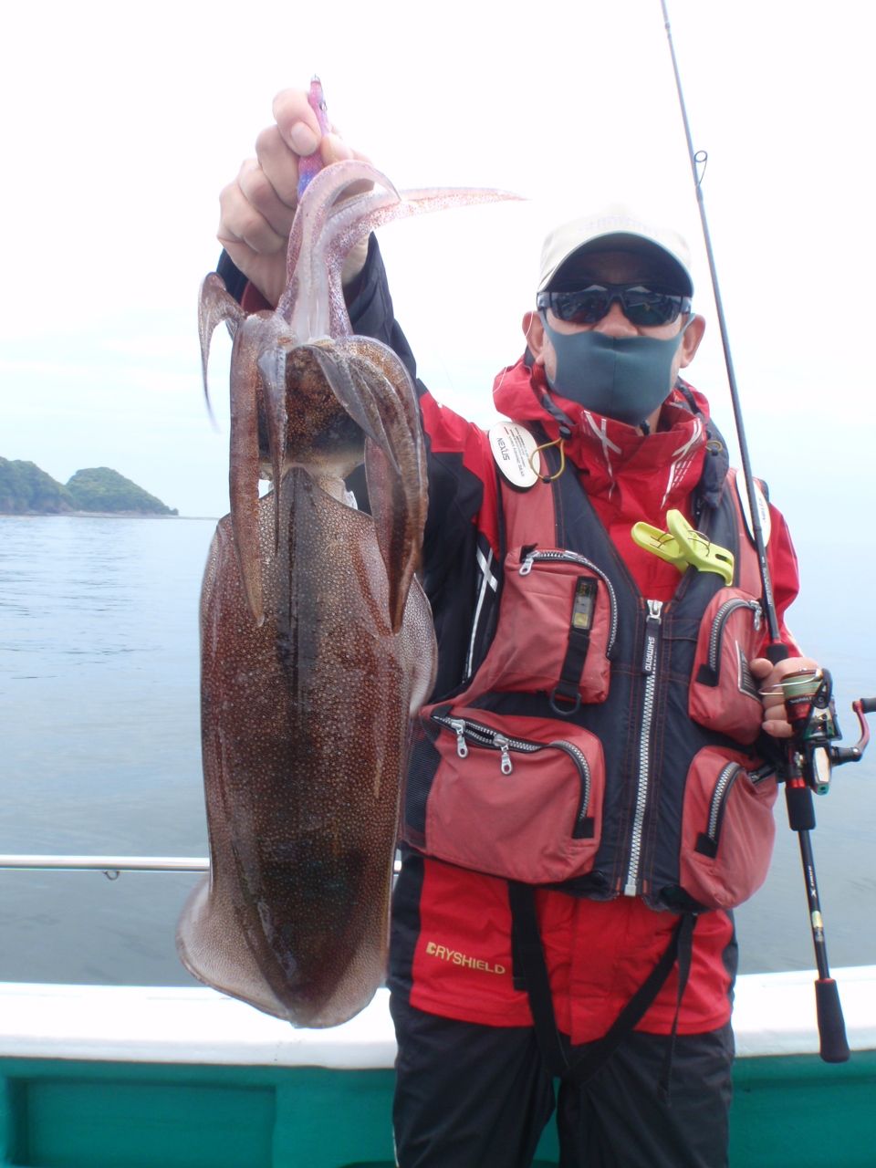 アオリイカハンター　HIROさんの釣果 3枚目の画像
