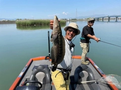 ライギョの釣果